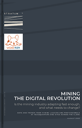 Mining the digital revolution